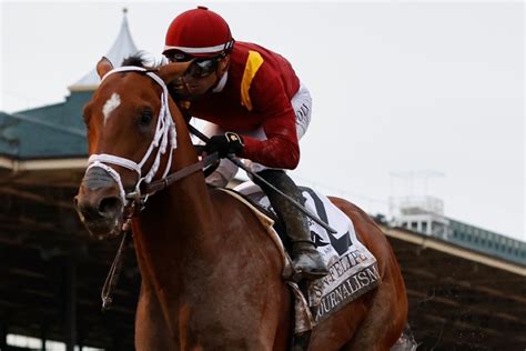 HORSE RACING BELMONT STAKES .